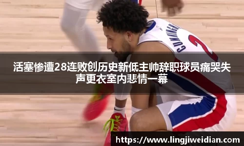  333体育官方网站